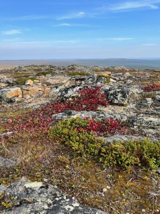 Ruska saapuu Ylä-Lapin tuntureille Kuvituskuva
